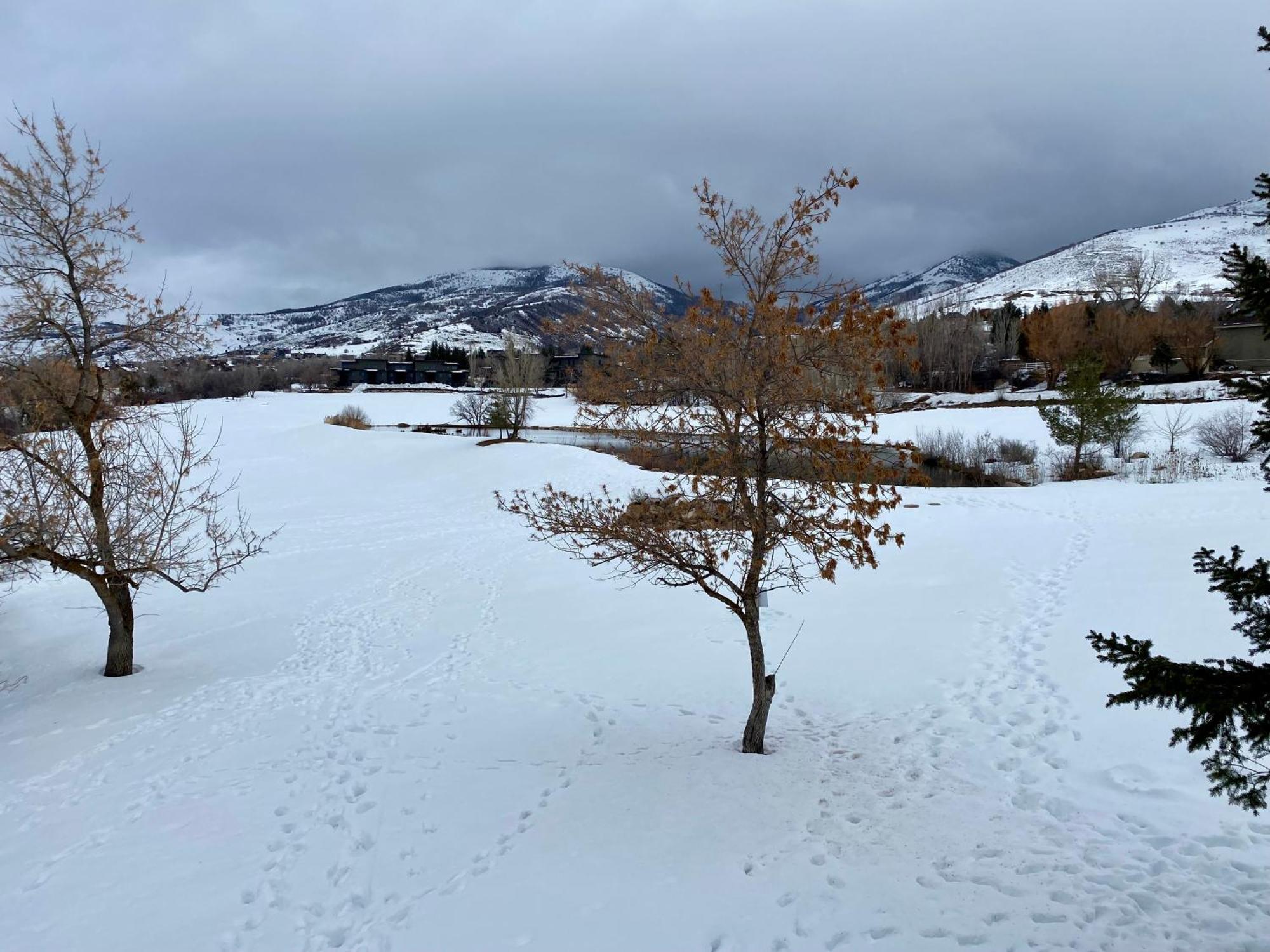 Wolf Creek Lodge Condo In Eden, Ut - Relaxing Mountain Retreat Exterior photo